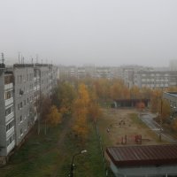 Осенние туманы :: Ольга Sh