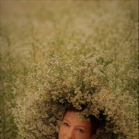 Венок :: Лана 