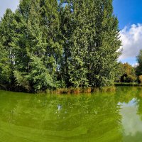 Сад Бенуа,Санкт Петербург