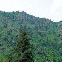 МАЛЕНЬКАЯ ПРОГУЛКА. :: Виктор Осипчук