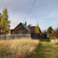 Осенний день :: Ольга Sh