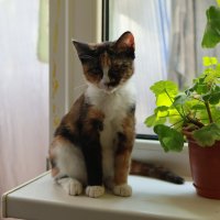 Евдокия...доброе утро!(1)