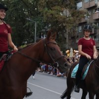 Наездницы :: Милорад Наездницы :: Милорад