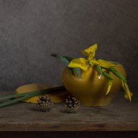 С ирисом :: Нина Кутина