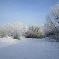зимы прекрасные моменты