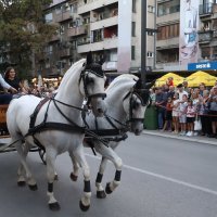 В карете :: Милорад В карете :: Милорад