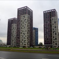 человейники
