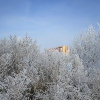 зимы прекрасные моменты