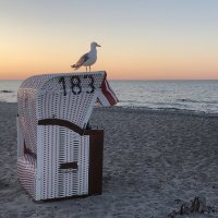 183
