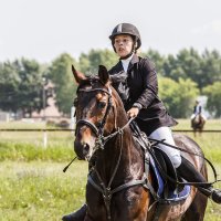 Конкур :: SanSan San