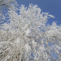 зимы прекрасные моменты