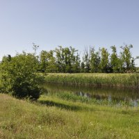 Местная река. :: Виктор Местная река. :: Виктор