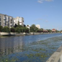 Река Новая Преголя, Калининград