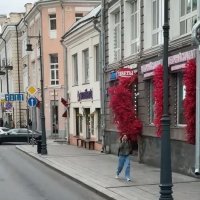 "Я сегодня Москвой надышаться хотела бы всласть"