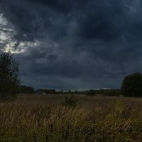 После дождя. :: Андрей Андрианов После дождя. :: Андрей Андрианов