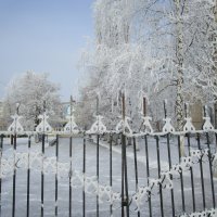 зимы прекрасные моменты :: Елена Шаламова