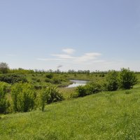 Местная река.