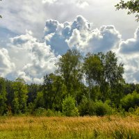 День выдался знойным :: Oleg S День выдался знойным :: Oleg S