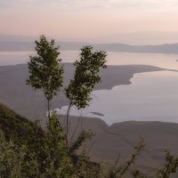 Нежные краски рассвета