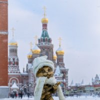 Мурзик :: Дмитрий Карасев Мурзик :: Дмитрий Карасев