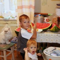 Попались... :: borisgor 