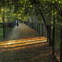 Прогулки в Осеннем Парке