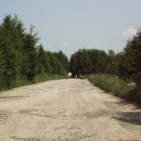 ✨ Тихая дорога в лето: прогулка по дачной дороге, 2008 год ✨