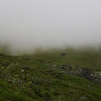 грузинские каникулы
