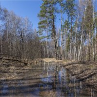 Апрель, дорога