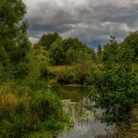 Осень в Дрезне. 2