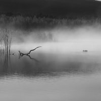 Там, где вода встречается с туманом, рождается магия утра.