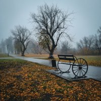 Следы осени
