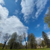 Потому что круглая земля... :: Маргарита Б Потому что круглая земля... :: Маргарита Б