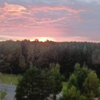 вид из окна