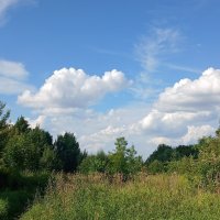 Июль :: Наталья Герасимова Июль :: Наталья Герасимова