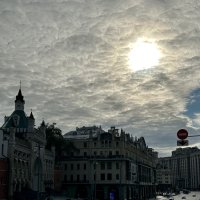 Моховая :: Натали Леон Моховая :: Натали Леон