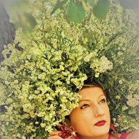 Венок :: Лана 