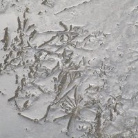 мятая лужа :: Елена Шаламова мятая лужа :: Елена Шаламова