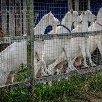 Построение