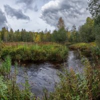 Речка Муж в сентябре... :: Федор Кованский