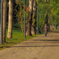 Прогулки в Осеннем Парке :: юрий поляков