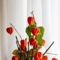 Импровизированный осенний букет :: Любовь Сахарова Импровизированный осенний букет :: Любовь Сахарова