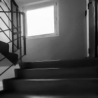 Каждодневное хождение по лестнице снижает риск смерти от любых причин на 24%