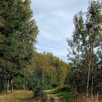 Дорогами сентября