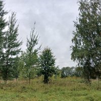 Дорогами сентября :: Наталья Герасимова