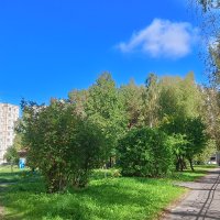 городская среда