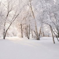 Морозное утро