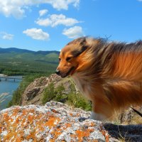 Ветерок :: Павел Трунцев