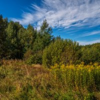 Осень в Дрезне 9.