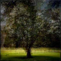 Пейзаж :: anton laba Пейзаж :: anton laba
